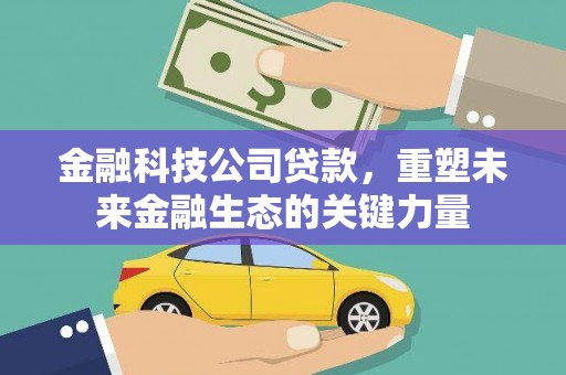 双牌金融科技公司贷款，重塑未来金融生态的关键力量