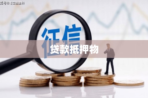 双牌贷款抵押物