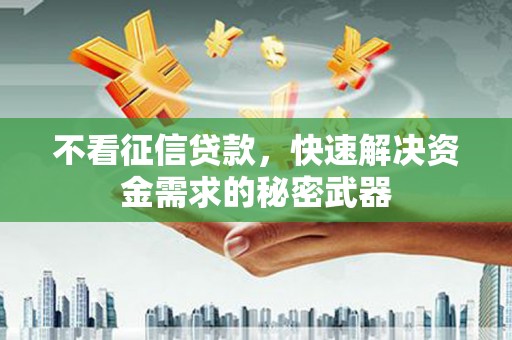 双牌不看征信贷款，快速解决资金需求的秘密武器