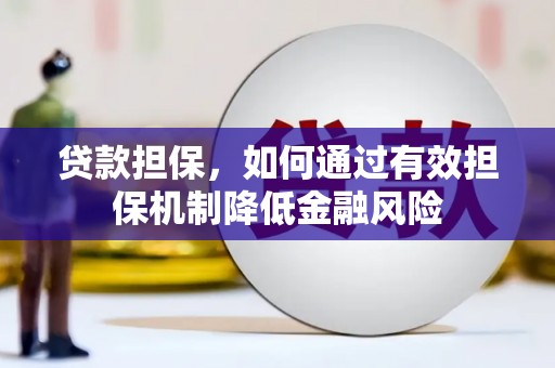 双牌贷款担保，如何通过有效担保机制降低金融风险