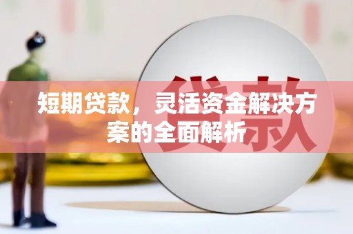 双牌短期贷款，灵活资金解决方案的全面解析