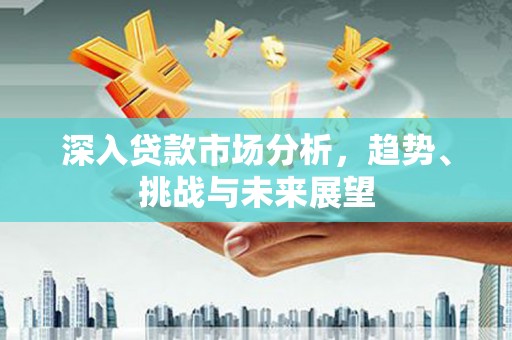 双牌深入贷款市场分析，趋势、挑战与未来展望