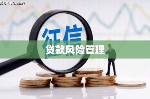 双牌贷款风险管理