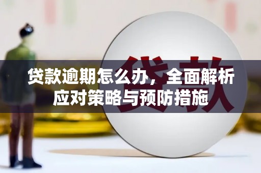 双牌贷款逾期怎么办，全面解析应对策略与预防措施