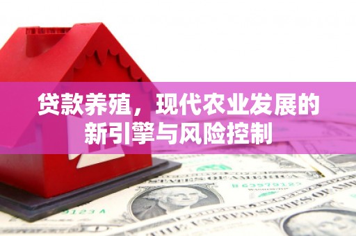 双牌贷款养殖，现代农业发展的新引擎与风险控制