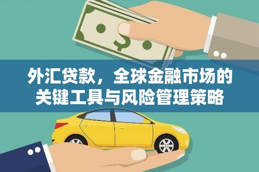 双牌外汇贷款，全球金融市场的关键工具与风险管理策略
