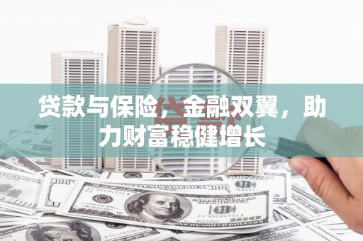 双牌贷款与保险，金融双翼，助力财富稳健增长