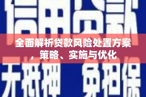 双牌全面解析贷款风险处置方案，策略、实施与优化
