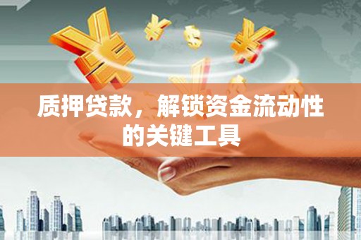 双牌质押贷款，解锁资金流动性的关键工具
