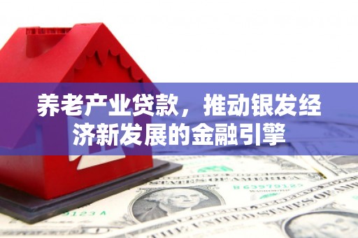 双牌养老产业贷款，推动银发经济新发展的金融引擎