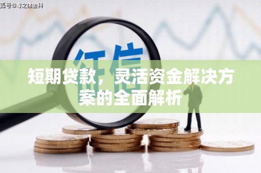 双牌短期贷款，灵活资金解决方案的全面解析