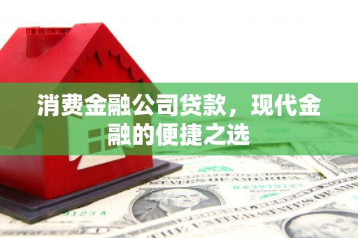 双牌消费金融公司贷款，现代金融的便捷之选