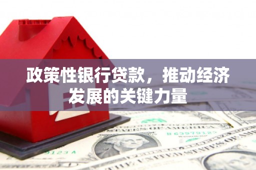 双牌政策性银行贷款，推动经济发展的关键力量
