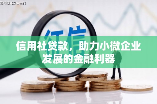 双牌信用社贷款，助力小微企业发展的金融利器