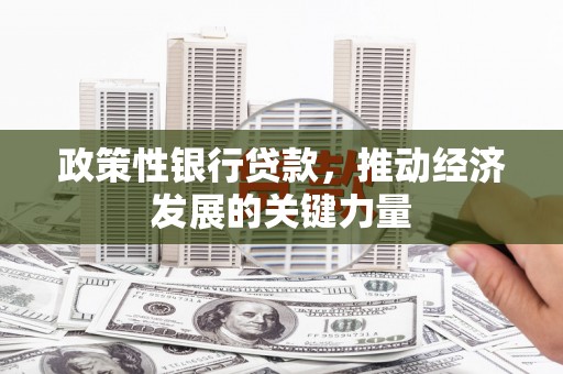 双牌政策性银行贷款，推动经济发展的关键力量