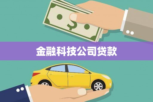 双牌金融科技公司贷款