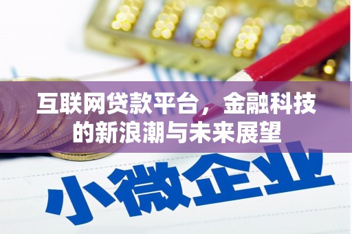 双牌互联网贷款平台，金融科技的新浪潮与未来展望