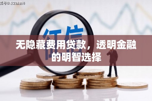 双牌无隐藏费用贷款，透明金融的明智选择