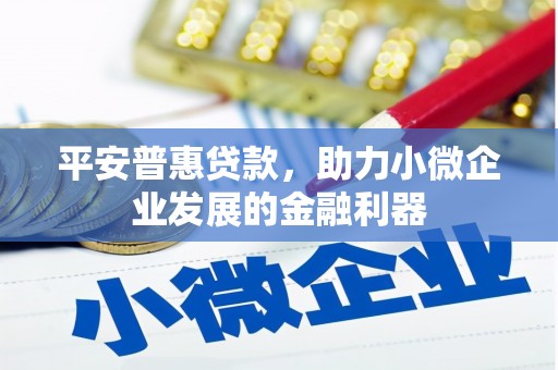双牌平安普惠贷款，助力小微企业发展的金融利器