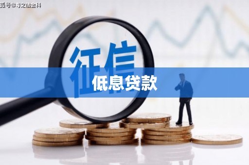 双牌低息贷款