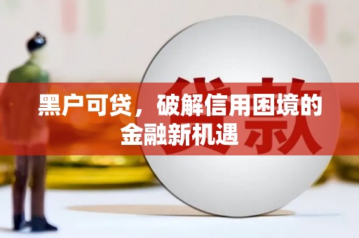 双牌黑户可贷，破解信用困境的金融新机遇