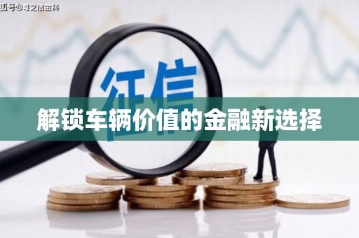 双牌解锁车辆价值的金融新选择