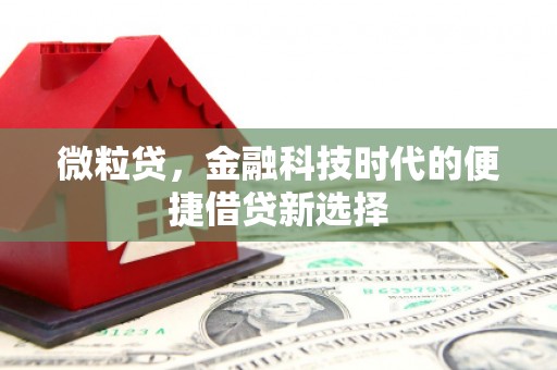 双牌微粒贷，金融科技时代的便捷借贷新选择