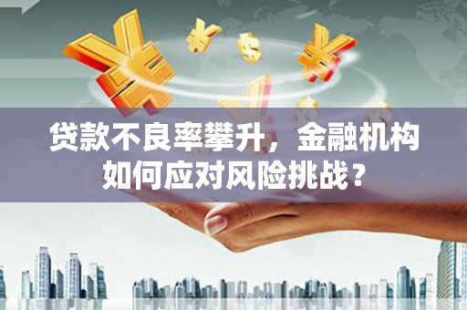 双牌贷款不良率攀升，金融机构如何应对风险挑战？