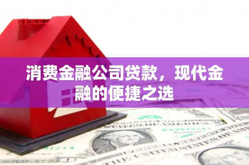 双牌消费金融公司贷款，现代金融的便捷之选