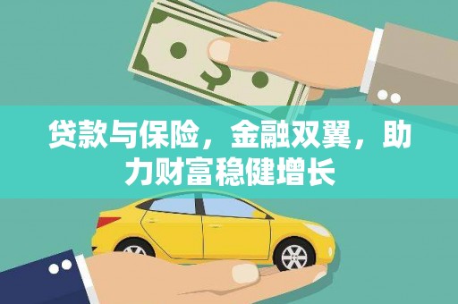 双牌贷款与保险，金融双翼，助力财富稳健增长