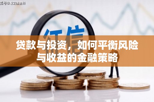 双牌贷款与投资，如何平衡风险与收益的金融策略