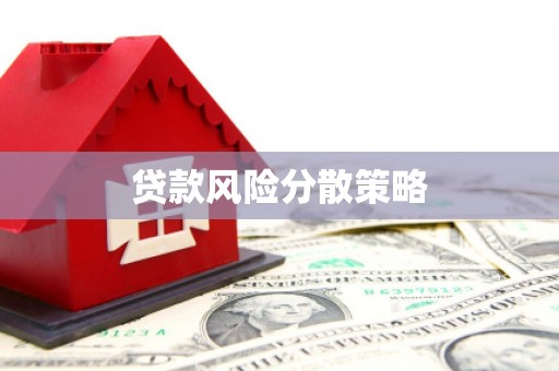 双牌贷款风险分散策略