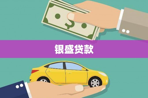 双牌银盛贷款