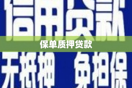 双牌保单质押贷款