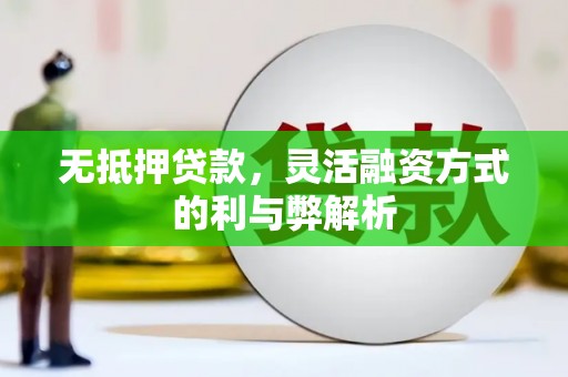 双牌无抵押贷款，灵活融资方式的利与弊解析