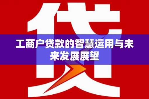 双牌工商户贷款的智慧运用与未来发展展望