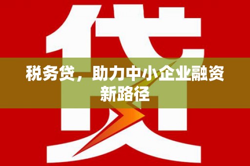 双牌税务贷，助力中小企业融资新路径