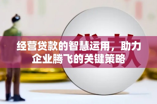 双牌经营贷款的智慧运用，助力企业腾飞的关键策略