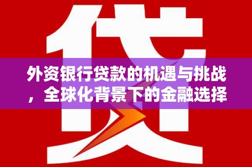 双牌外资银行贷款的机遇与挑战，全球化背景下的金融选择
