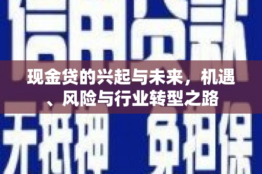 双牌现金贷的兴起与未来，机遇、风险与行业转型之路