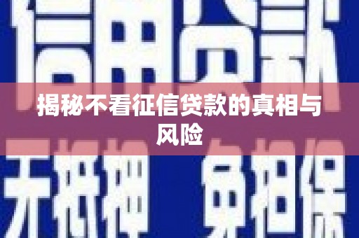 双牌揭秘不看征信贷款的真相与风险