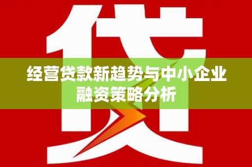 双牌经营贷款新趋势与中小企业融资策略分析