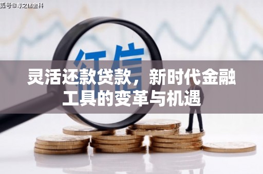 双牌灵活还款贷款，新时代金融工具的变革与机遇