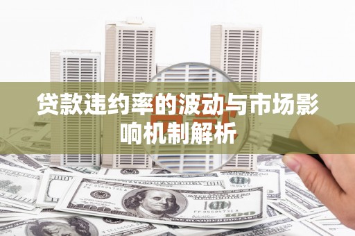 双牌贷款违约率的波动与市场影响机制解析