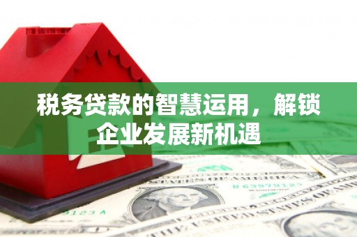 双牌税务贷款的智慧运用，解锁企业发展新机遇