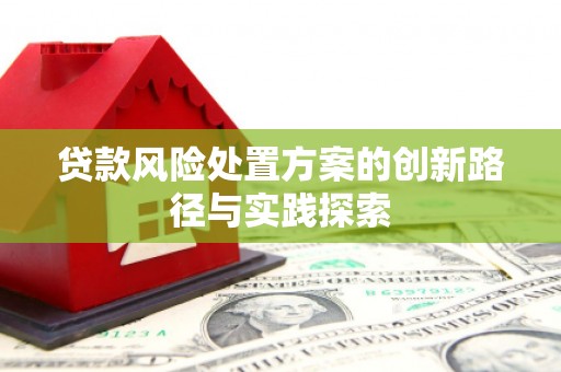 双牌贷款风险处置方案的创新路径与实践探索