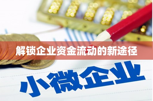 双牌解锁企业资金流动的新途径