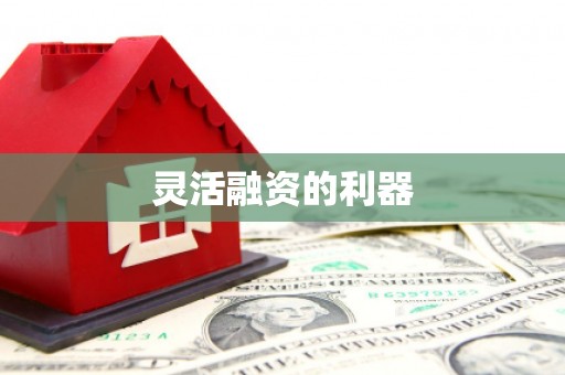 双牌灵活融资的利器