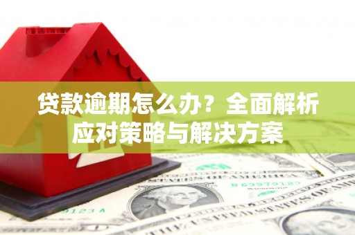 双牌贷款逾期怎么办？全面解析应对策略与解决方案