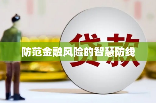 双牌防范金融风险的智慧防线
